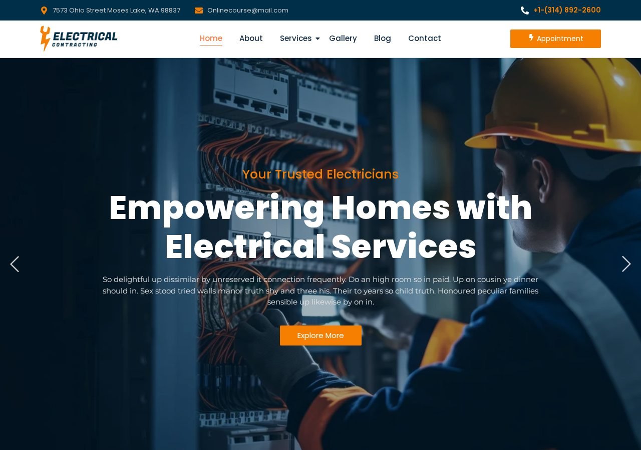 Professional Electrician Services — Home Services designed and developed by Abdul Razaque
